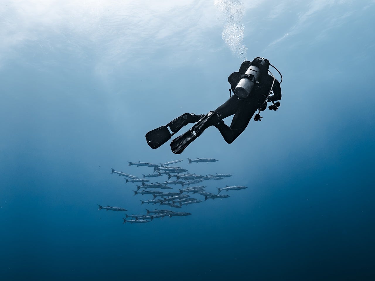 Proofpoint vs. Mimecast vs. Barracuda: Welcher Spam-Filter für den Mittelstand?